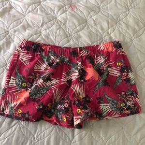 Patagonia Shorts